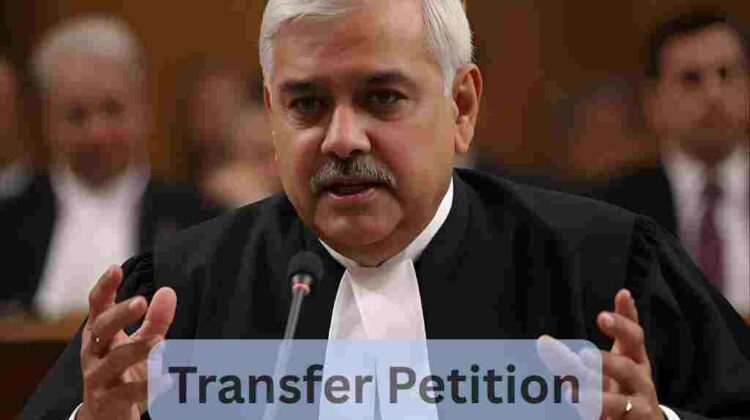 Best advocate for the transfer petition in the Supreme Court