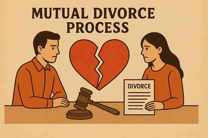 Best advocate for mutual divorce in delhi