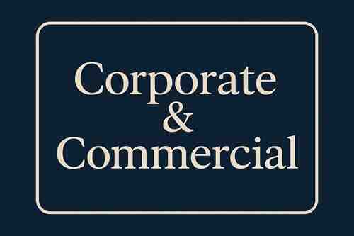 best advocate for corporate and commercial issues in delhi